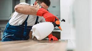 Best Residential Pest Control  in Arnold Line, MS